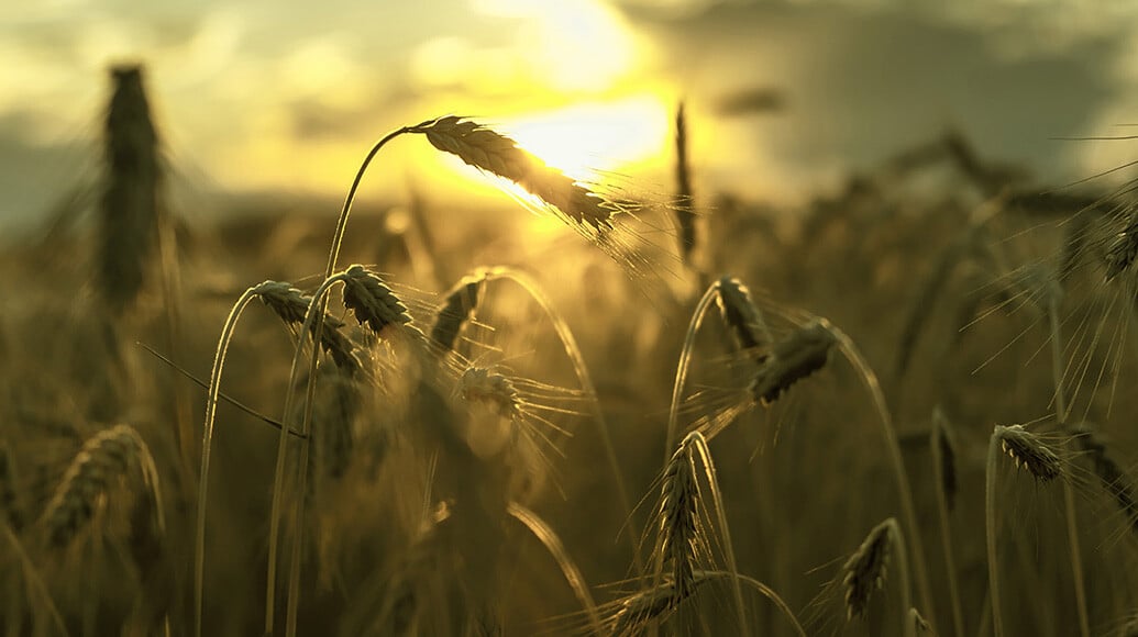 Sustainable Solutions